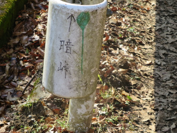 c0001670_20231407.jpg