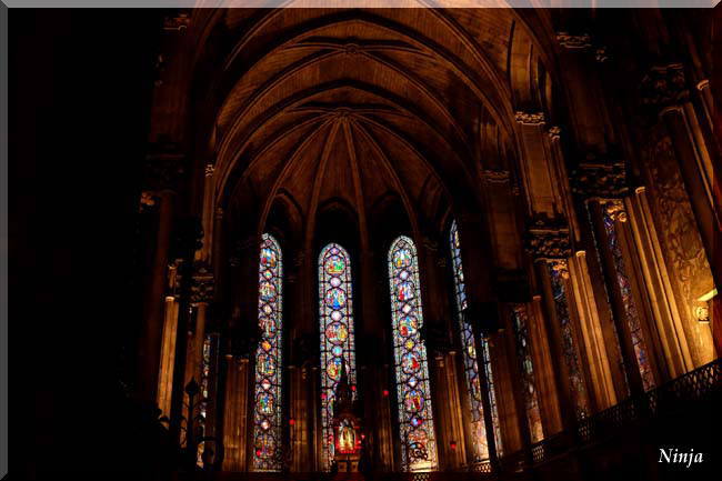 Lille 3 /Notre Dame de la Treille(2015.11.23)_f0294370_22272956.jpg