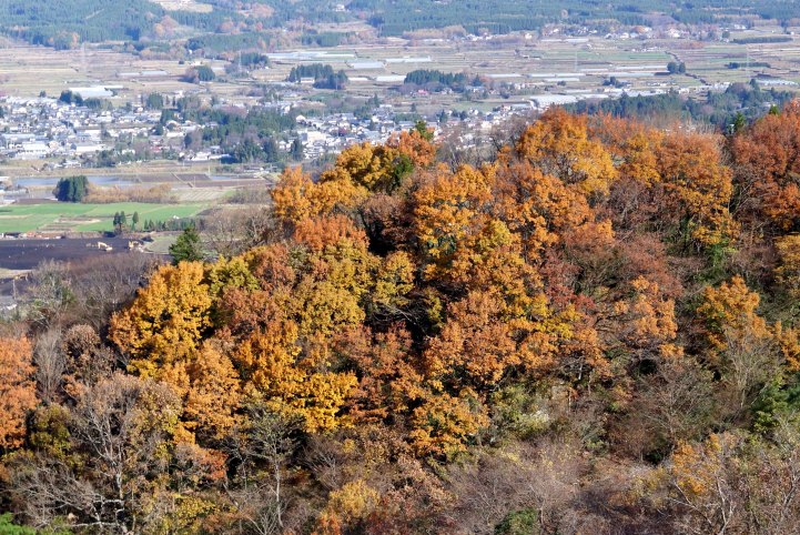 初冬の清水峠_c0248473_16314376.jpg