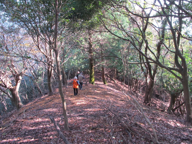 a0166196_121250.jpg
