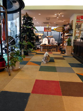 c0090198_22515577.jpg