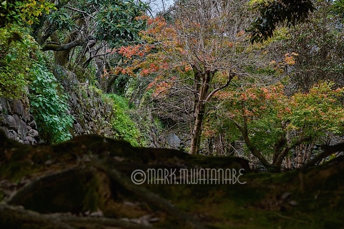 福岡城跡の秋_e0135098_1950288.jpg