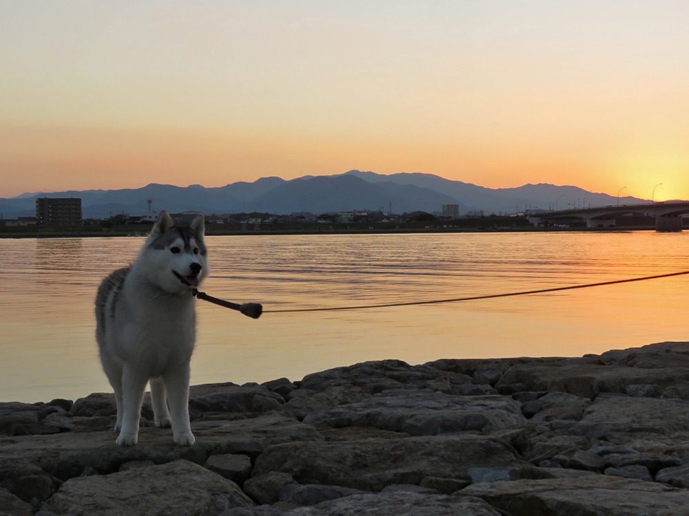 寒い朝、美しい夕暮れ (^o^)_c0049299_21521540.jpg