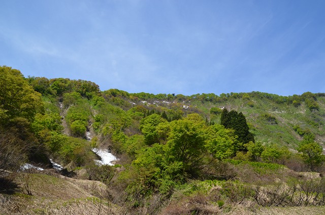 c0124100_15361065.jpg