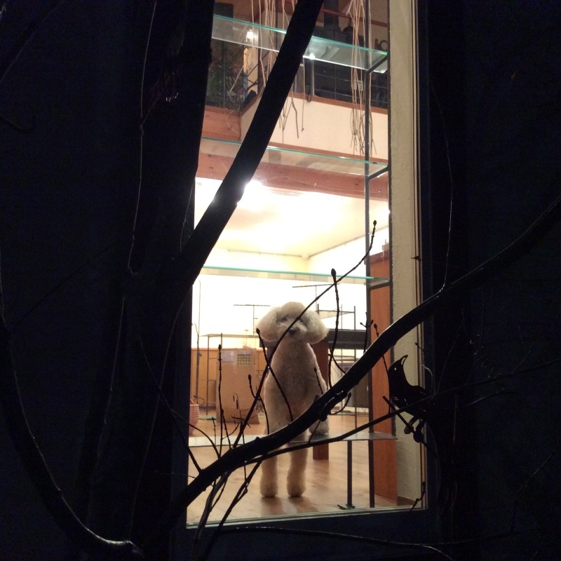 b0220002_21521301.jpeg