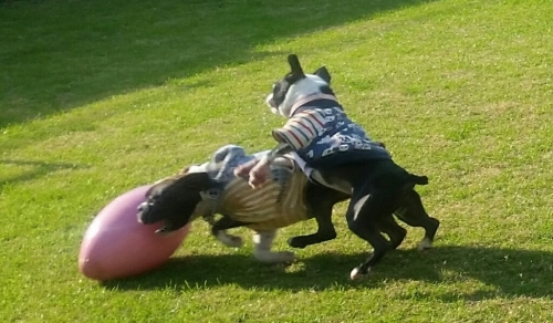 c0326807_10383845.jpg