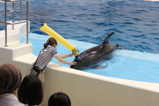 鹿児島水族館。ｈ_b0224815_054819.jpg