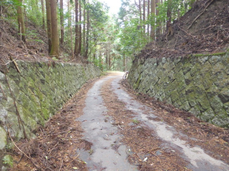 b0174217_10345576.jpg