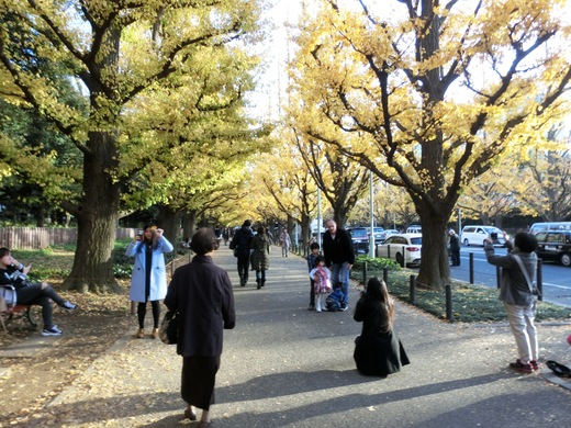 てくてく紅葉の東京さんぽ3。_d0221319_8212676.jpg