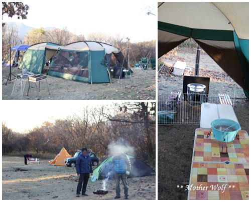 第5回キャンプ『マザーウルフＣＡＭＰ～2015冬～in 静岡』_e0191026_1824507.jpg