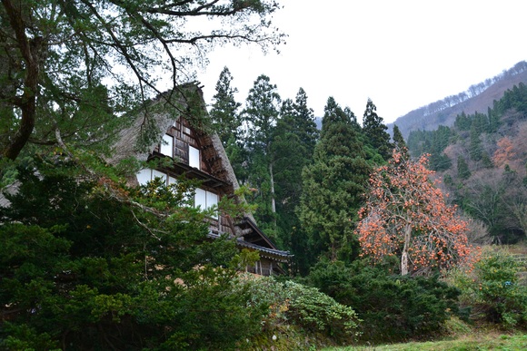 f0124830_81323.jpg