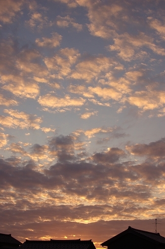 e0290331_08211796.jpg