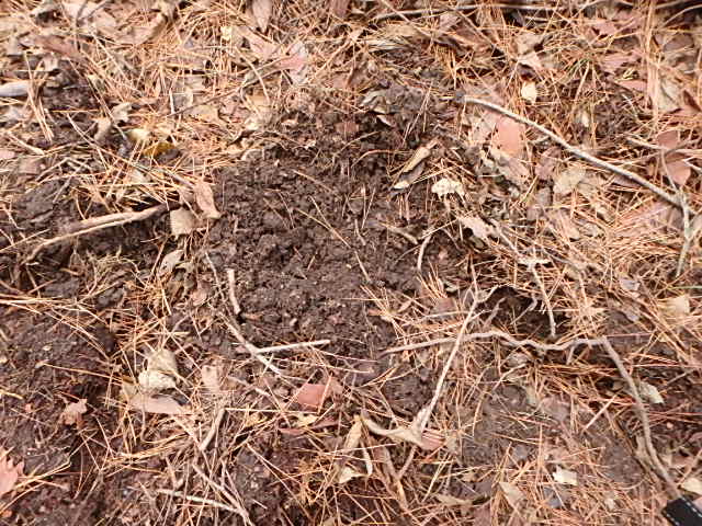 f0334143_94177.jpg