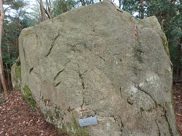 f0334143_961497.jpg