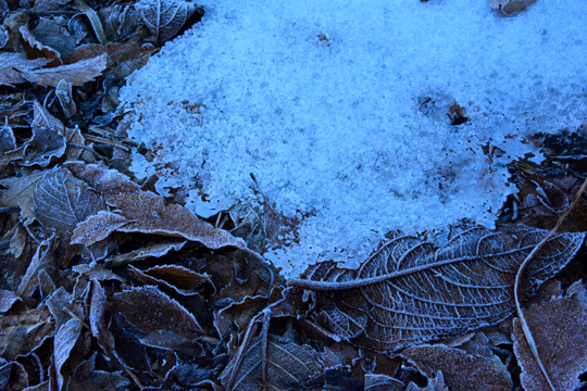 c0093046_1773177.gif