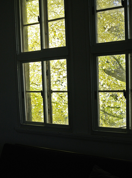 d0180447_16959.jpg