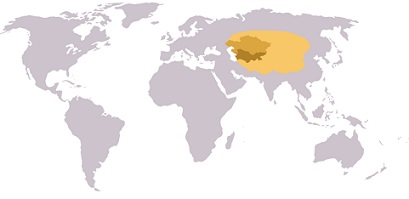 e0126350_22353154.jpg