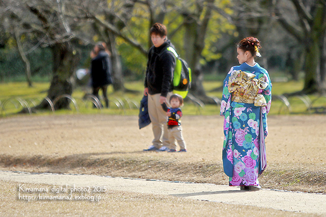 タンチョウの園内散策　「後楽園」-2_f0324756_1072817.jpg