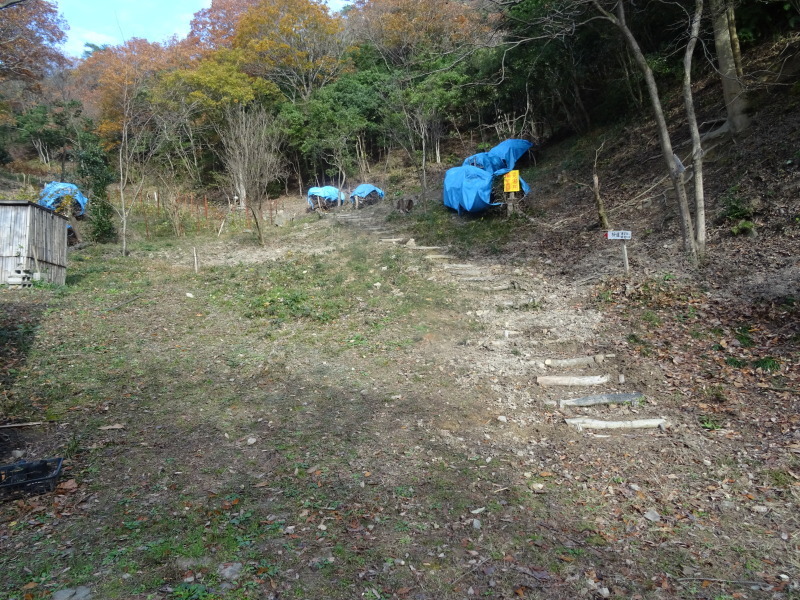 c0108460_23392594.jpg