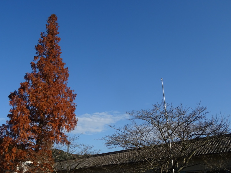 c0108460_23392882.jpg