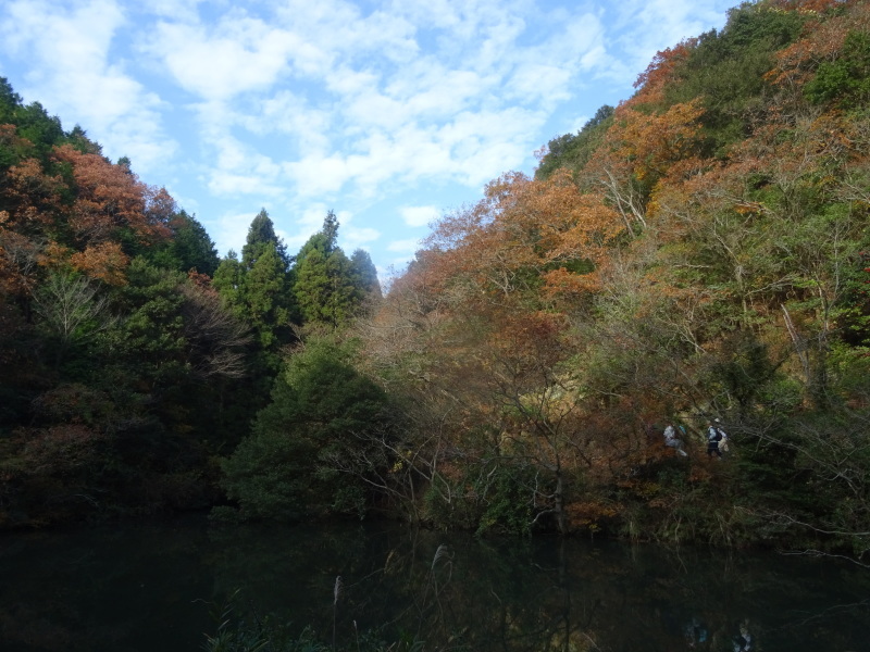 c0108460_23393306.jpg
