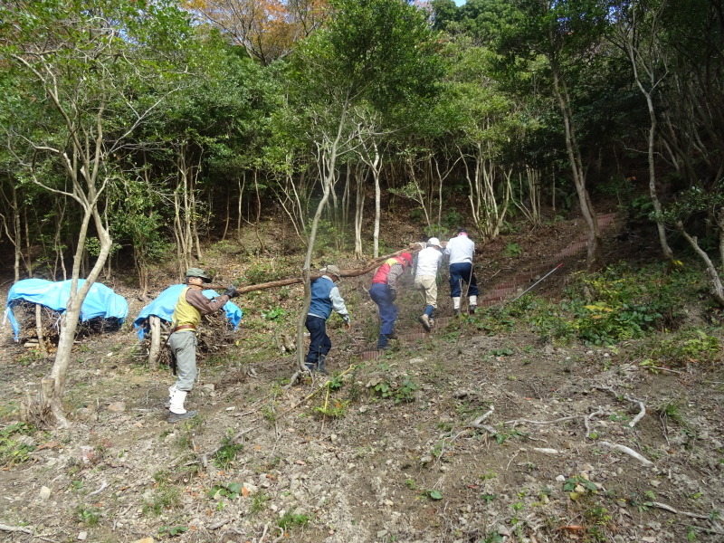 c0108460_23413120.jpg