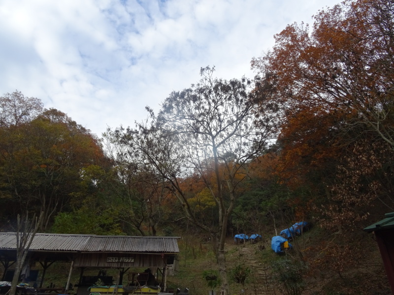 c0108460_23471205.jpg