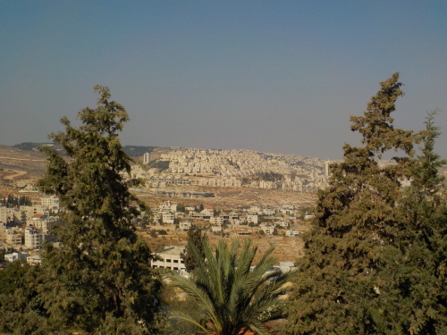 c0351060_03391125.jpg