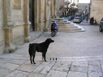 ’15,12,15(火)2006年の南イタリアの旅と師走!_f0060461_18332364.jpg
