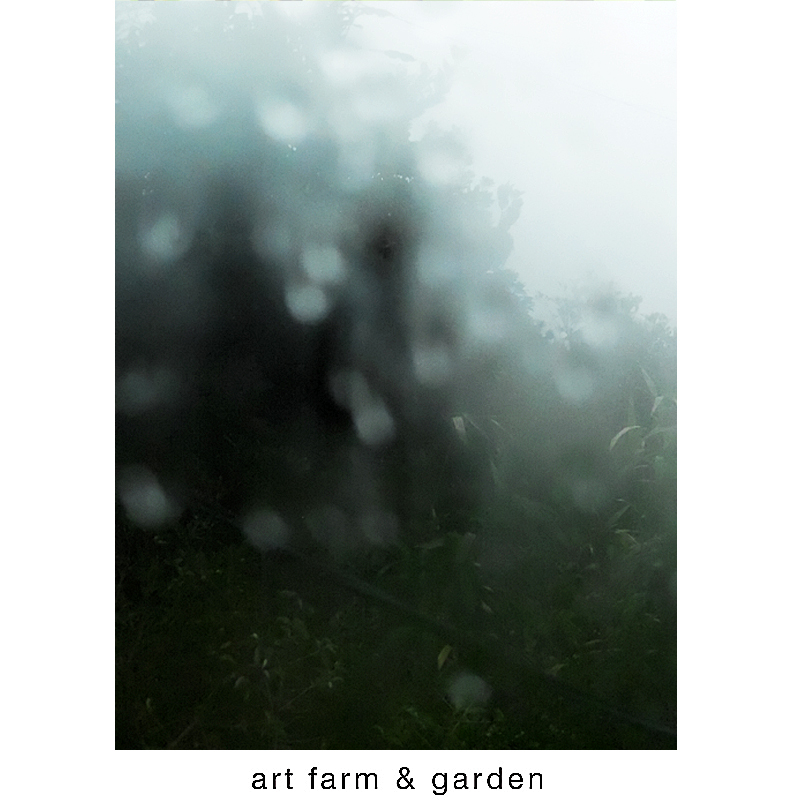 曇ガラスと雫/art farm & garden_b0290469_63796.jpg