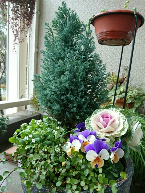 d0341483_13365325.jpg