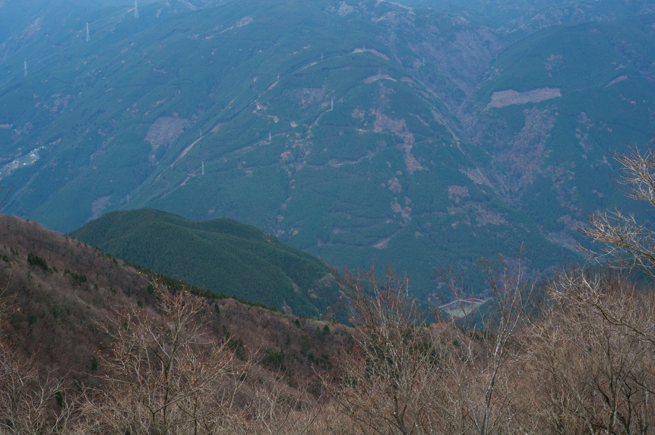 a0142487_0472296.jpg