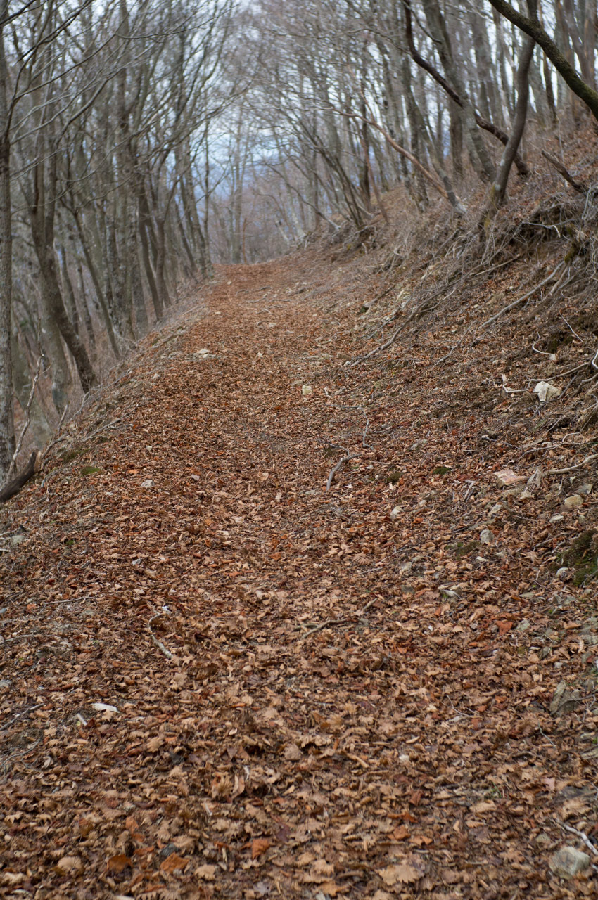 a0142487_0472627.jpg