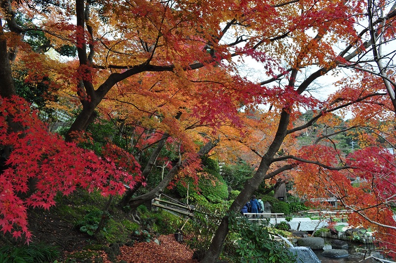 c0034391_223365.jpg