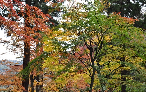 c0034391_22411612.jpg