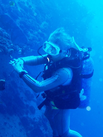 f0110213_7381614.jpg