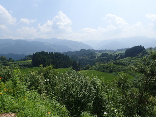 a0315918_22113193.jpg