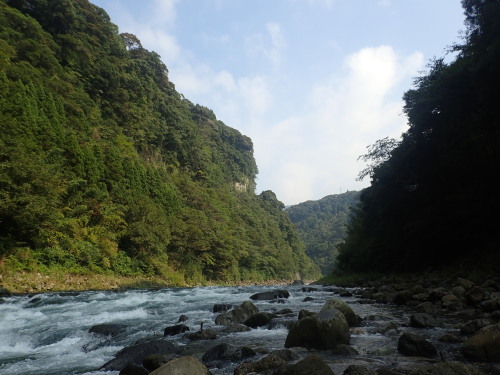 a0315918_22114840.jpg