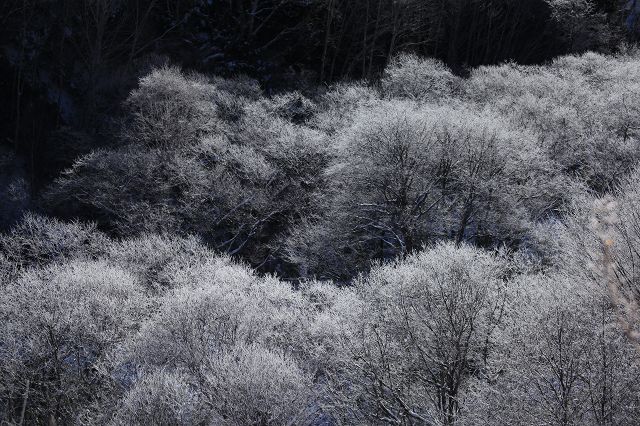 e0242721_74419.jpg