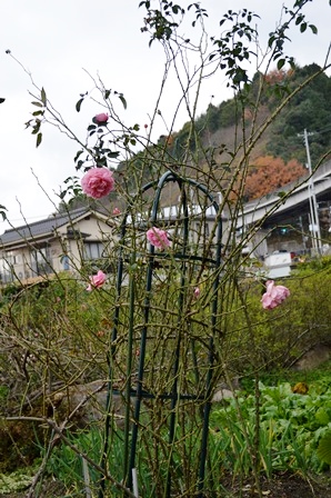 d0096422_12581210.jpg
