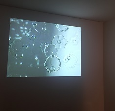 e0305824_016096.jpg