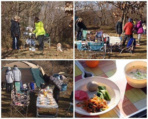 第5回キャンプ『マザーウルフＣＡＭＰ～2015冬～in 静岡』_e0191026_13491471.jpg