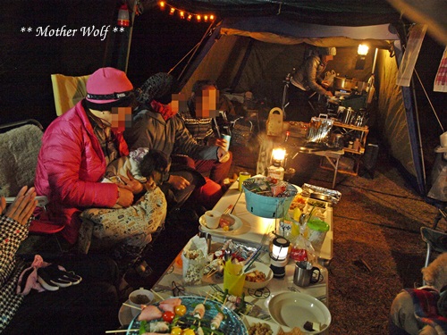 第5回キャンプ『マザーウルフＣＡＭＰ～2015冬～in 静岡』_e0191026_16383745.jpg