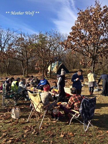 第5回キャンプ『マザーウルフCAMP~2015冬~in 静岡』_e0191026_1851921.jpg