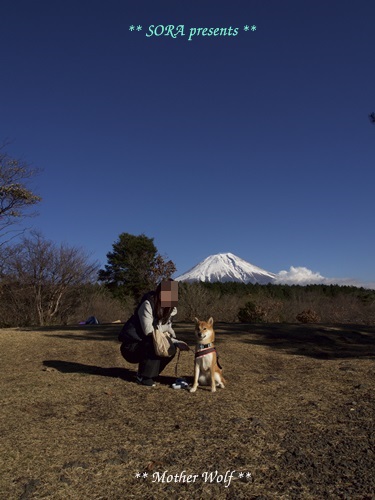 第5回キャンプ『マザーウルフCAMP~2015冬~in 静岡』_e0191026_2315131.jpg