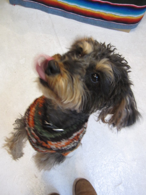 c0151934_20114834.jpg