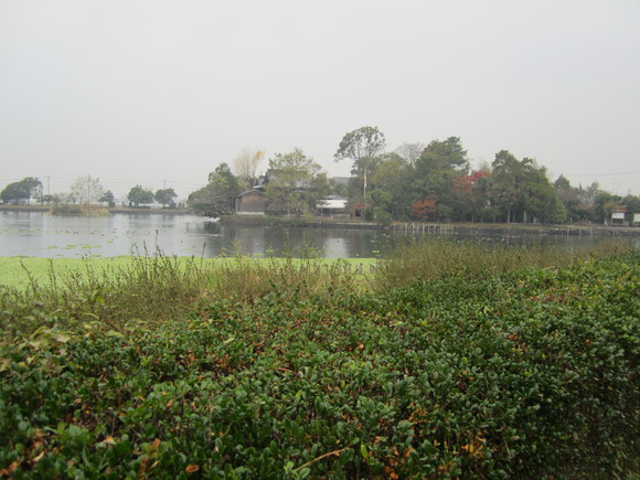 a0237545_09397.jpg