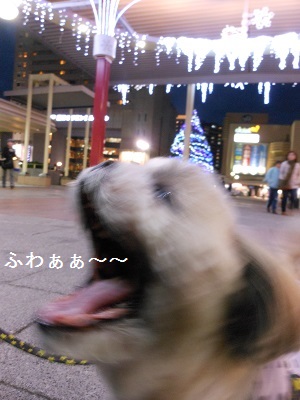 c0261346_22592128.jpg