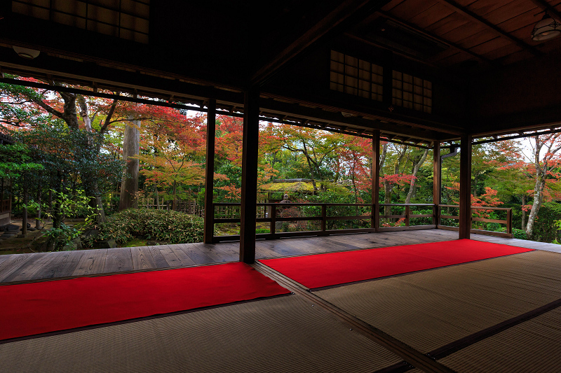 京都の紅葉2015・大法院の錦（妙心寺塔頭）_f0155048_23244845.jpg