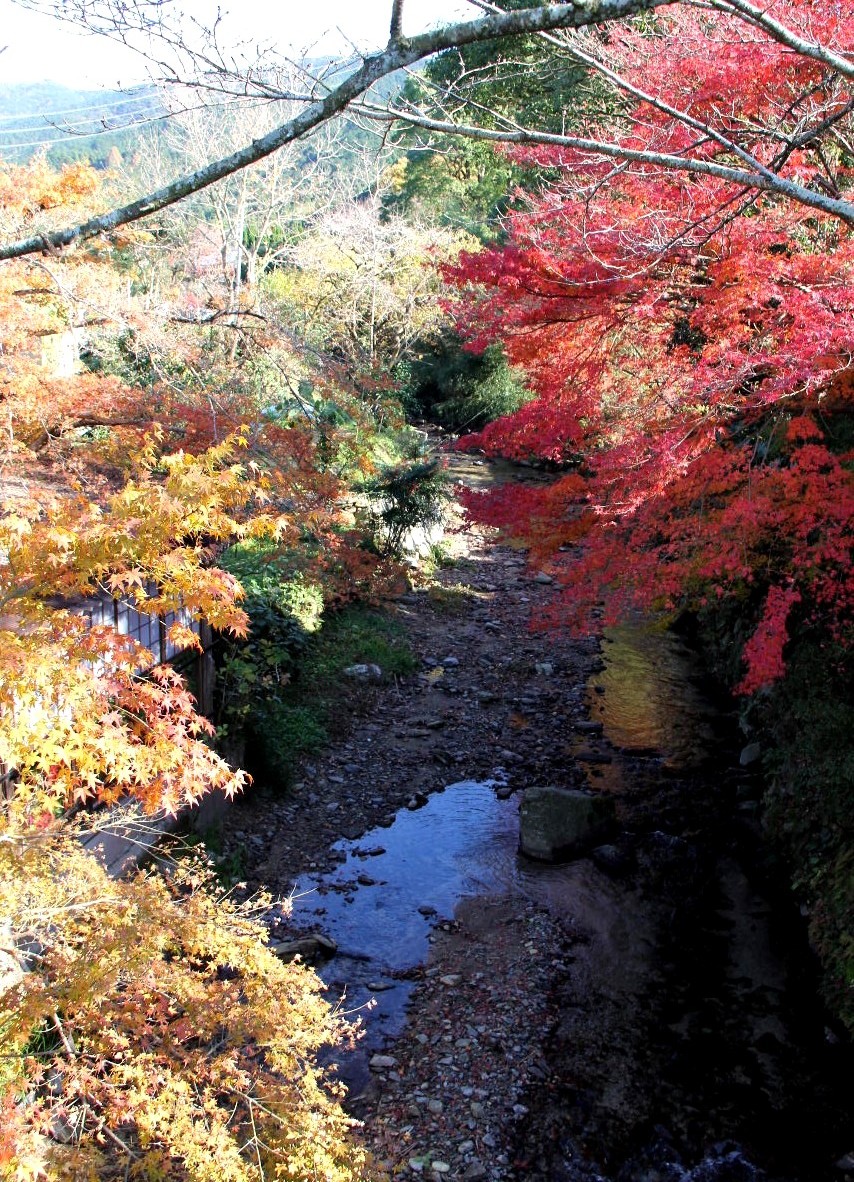 秋月散策　（１）　眼鏡橋、杉の馬場、黒門、垂裕神社_c0011649_7105740.jpg